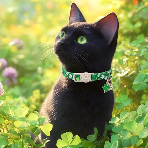 2 Pack St. Patrick’s Day Cat Collars - Breakaway Cat Collar with Bell, Lucky Clover Pendant, Adjustable Cute Green Bold Shamrock Kitten Collars for Boy Girl Cats - color: Bold Lucky Shamrock