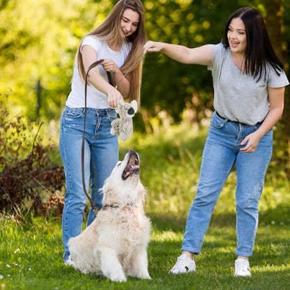 HDSMNGY Dog Toys for Aggressive Chewers, Durable Plush Rope Dog Toy with Squeaky, Interactive Tug Toy for Small Medium Dogs, Teeth Cleaning & Boredom Relief