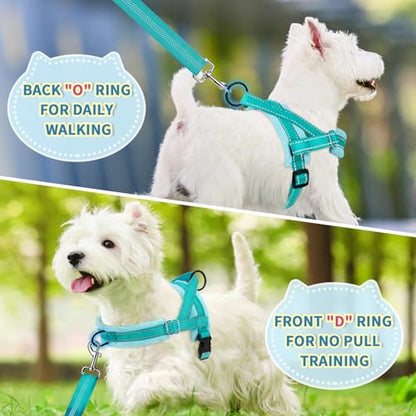 SlowTon No Pull Small Dog Harness and Leash Set, Puppy Soft Vest Harness Neck & Chest Adjustable, Reflective Lightweight Harness & Anti-Twist Pet Lead Combo for Small Medium Dogs(BL-Front Clip,XXS) - color: B-Teal - With Front Clip, size: XX-Small