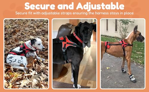 Doggie Stylz Multi-Functional Full-Body Lifting Dog Harness Vest, Designed for Front-Only, Rear-Only or Full-Body Dog Lifting. Please Measure Your Before Ordering. - size: Girth 23-30"