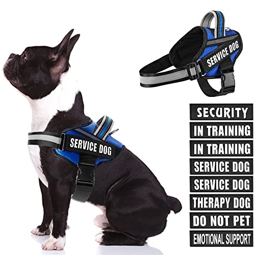 Dog Vest Harness and Patches Set, Animire in Training Service Dog Harness with 10 Dog Patches, Reflective Dog Vest with Handle for Small, Medium, Large, and Extra-Large Dogs - color: Blue, size: MEDIUM (Chest: 21-28 Inch)