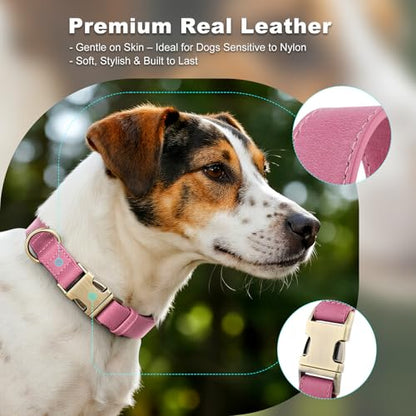Plutus Pet Genuine Leather Dog Collar – Adjustable Pet Collar with Quick Release Metal Buckle, Soft Real Leather for Small Medium Large Dogs, Heavy Duty & Skin-Friendly (Pink, XS) - color: Pink, size: XS