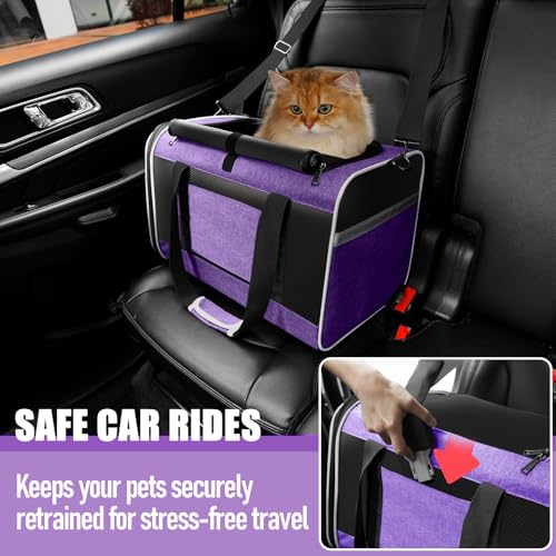 GAPZER Pet Carrier for Large Cat 20 lbs+ / Soft Sided Small Dog 12 Pounds Travel Crate Top Load/Collapsible Kitty Carry Bag Big Kitten Mesh/Sturdy Animal Transport cage Kennel Long Trips Purple - color: Purple