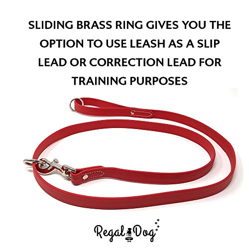 Regal Dog Products Waterproof Leash – 5 ft. Red Dog Leash with Easy to Use Collar Hook, Lightweight, and Proof Training Pet Lead with Vinyl-Coated Webbing for Small, Medium, Large, or XL Dogs - color: Red