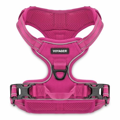 Voyager Dog Harness Dual Leash Attachment No-Pull Control Adjustable Soft but Strong Pet Harness for Medium and Large Dogs with 3M Reflective Technology, Fuchsia Nylon, M (Chest: 20-25") - color: Fuchsia Nylon, size: M (Chest: 20 - 25")
