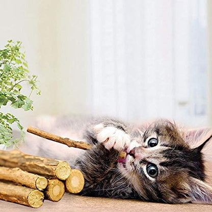 WoLover Silvervine Sticks for Cats, Natural Catnip Matatabi Chew Sticks Teeth Molar Chew Toys for Cat Kitten Kitty (25 PCS) - size: 25 Count (Pack of 1)