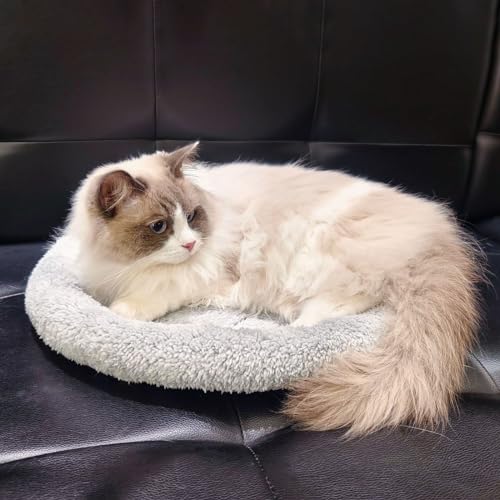 Plush Cat Bed Mat, 15.75" Round, Self Warming Dog Bed with Pillow, Puppy Kitty Relying/Curling Sleep Cushion, Warm Bed for Small to Medium Dogs Cats Rabbits, Antiskid Bottom, Medium - size: Medium(Round)