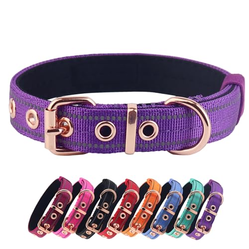 Neoprene Padded Dog Collar, Nylon Collar for Small to Large Dogs, Heavy Duty with Metal Buckle, Reflective(Large, Purple) - color: Purple, size: Large (Pack of 1)