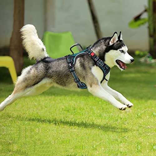 PoyPet No Pull Dog Harness, No Choke Front Clip Reflective Dog Vest with Soft Padded Vertical Handle, 3 Leash Attachments for Small Medium Large Dogs (Tumalo Teal,XL) - color: Tumalo Teal, size: Extra Large