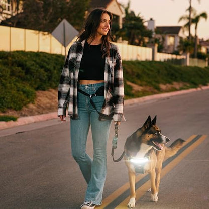 Lumi One LED Dog Harness for Night Visibility and Safety, Patent Pending – Light-Up Dog Vest, Reflective, Adjustable, Rechargeable, Durable, High-Visibility Pet Gear (Teal Blue, Extra Large) - color: Blue, size: Extra Large