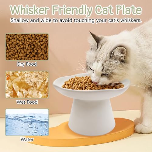 VCEPJH Raised Cat Food Bowls Shallow Cat Plate Ceramic Elevated Cats Dish 6.1in Flat Anti Whisker Fatigue Wide Pet Food & Water Feeder for Indoor Kitty Kitten (White) - color: white