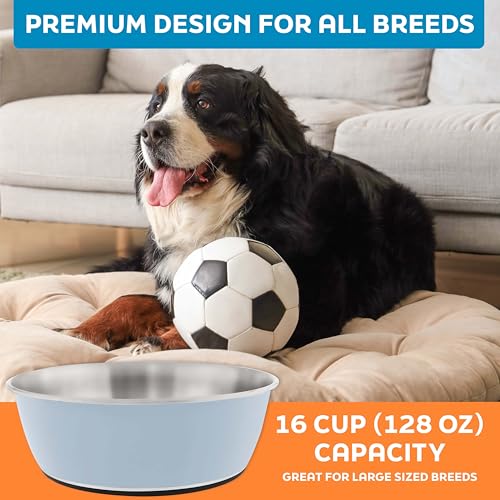 Master Pet Supply Stainless Steel Dog Bowls Set of 2 (128 Oz Each) with Non-Slip Rubber Base - Glacier Blue - Basic Dog Food Bowl Water & Food Bowls for Small Medium Large Dogs & Cats, Metal Dish - color: Glacier Blue, size: 16 Cups (128 oz) 2 Pack
