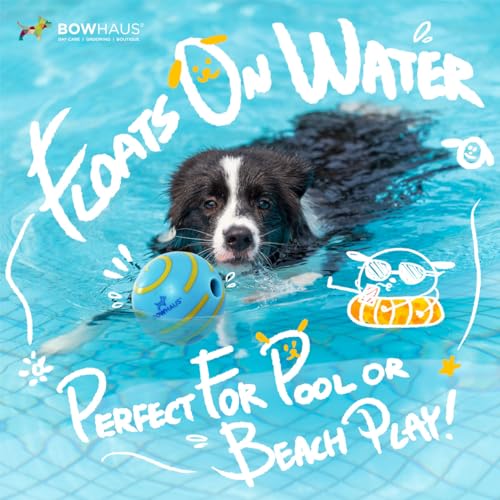 BOWHAUS Giggle Ball for Dogs, 5.5 Inch Interactive Dog Exercise Toys, Indestructible Fun Squeaky Chew Toy, Non-Toxic Durable PVC Chew Ball for Indoor Outdoor Play - style: Giggle Ball - Classic Style