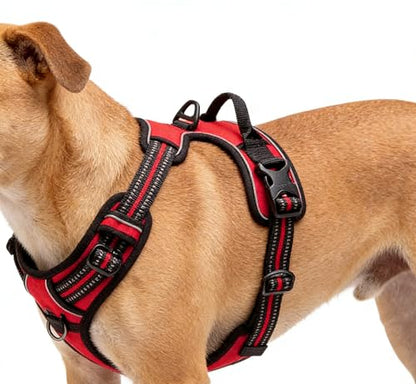 Red No-Pull Dog Harness with 2 Leash Clips，Soft Padded Vest for Small Dog, Adjustable Reflective Dog Vest Easy to Put on and Take Off,(Neck: 13"~17", Chest: 17"~21",Red Small) - color: Red, size: Small