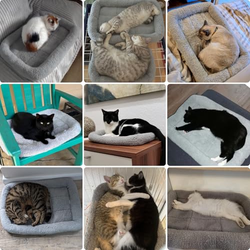 Small Cat Bed Mat, 22" x 16" Plush Cushion with Surrounding Pillow for Small to Meidum Dogs Cats Sleeping, Indoor Pet Beds Furniture Carrier Crate Anti Skid Pad, Washable, Medium - color: M (22 x 16 inch)