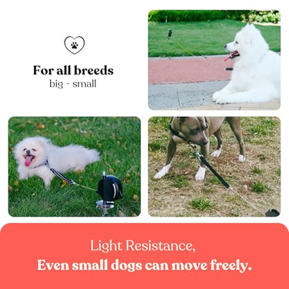 Heavy-Duty Retractable Dog Tie Out Cable: The Ultimate Dog Line for Outside – Super Strong Tie Out Retractable Cable for Dogs. - style: Outside Ground Mount