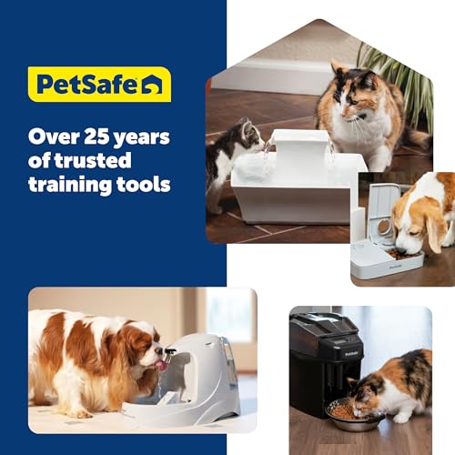PetSafe Healthy Pet Food Station - Automatic Indoor Gravity Cat & Dog Feeder - Space-Saving Self Feeder - Easy to Clean - Small - Up to 2 lb Kibble Capacity (Pack of 2) - size: Small (Pack of 2)