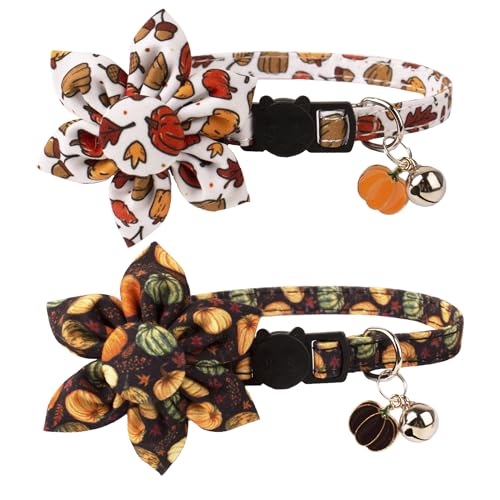 ADOGGYGO Thanksgiving Cat Collars with Removable Flower Bell, Adjustable Thanksgiving Fall Pumpkin Floral Collars for Girl Cats & Kittens - color: Thanksgiving