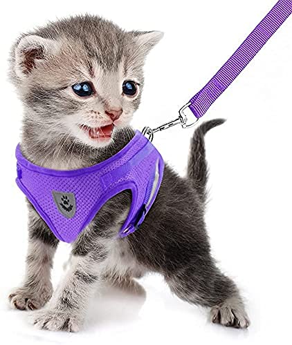 Dog Harness and Leash Set for Walking, Soft Mesh Adjustable Easy Control Lightweight Cat Vest Harnesses with Reflective Strips, Escape Proof Small Dogs Cats Vests - color: Purple, size: Small