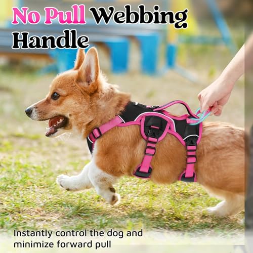 rabbitgoo Escape Proof Dog Harness Small Sized Dog, Soft Padded Full Body Pet Harness, Reflective Adjustable Vest with Lift Handle and Leash Clip for Walking Hiking Training, Pink & Black, S - color: Pink & Black, size: Small (Pack of 1)