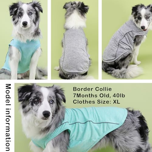 2 Pack Quick-Dry Dog Summer T-Shirt With Reflective Strips, Breathable Cooling Tank Top, Pet Sun Protection Clothes for Dogs Cats, Grey & Blue S - color: Grey & Blue, size: Small