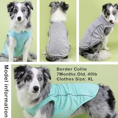 2 Pack Quick-Dry Dog Summer T-Shirt With Reflective Strips, Breathable Cooling Tank Top, Pet Sun Protection Clothes for Dogs Cats, Grey & Blue M - color: Grey & Blue, size: Medium