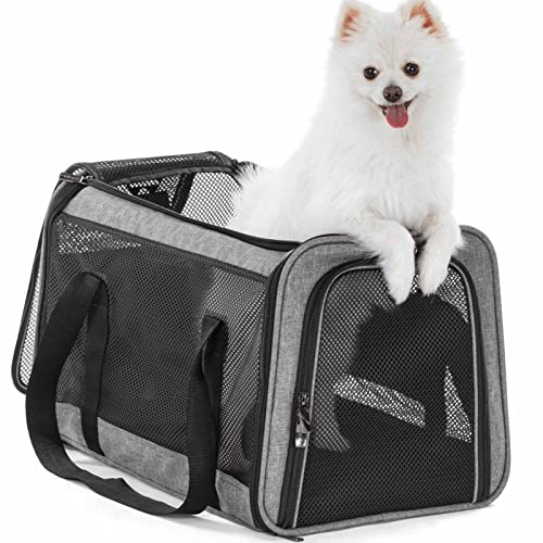 19 x 12 x 12 Large Cat Car Carrier – Roomy Escape-Proof Cat Car Seat for Safe Driving, Lockable Zippers & Safety Tether, Soft-Sided Travel Carrier for Road Trips & Vet Visits - color: Z-Gray, size: Large