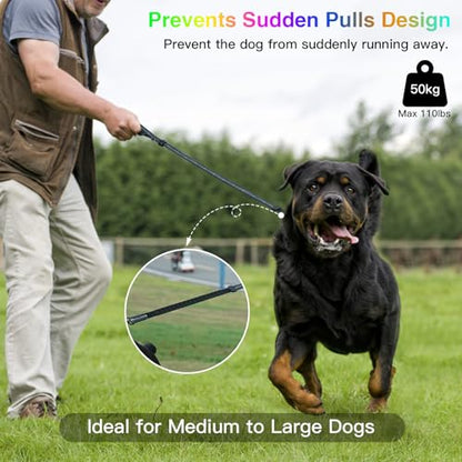 hamraba 5 Ft Light Up Dog Leash, 10 Lighting Modes LED Dog Leash for Night Walking, Rechargeable with Padded Handle, Safety Glow in The Dark, for Small Medium Large Dogs