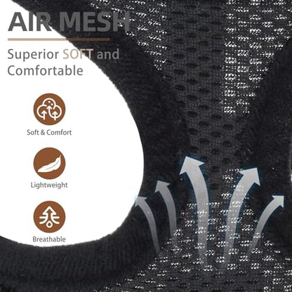 PUPTECK Soft Mesh Dog Harness and Leash Set Pet Puppy Cat Comfort Padded Vest No Pull Harnesses, Solid Black, XS - color: Solid Black, size: XS (NECK: 10", CHEST: 10"-14")