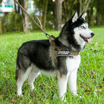 EXCELLENT ELITE SPANKER No Pull Dog Harness Padded Military Patrol Vest Adjustable Nylon Small Service Walking Dog Harness with Handle for Training Running(BLK-S) - color: BLK, size: S-(Chest 19.5-25.5")