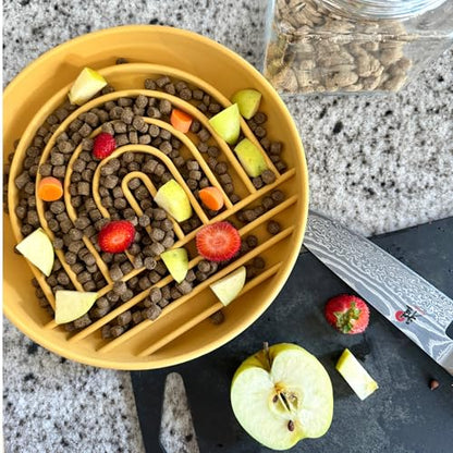 Should We Go? Slow Feeder for Dogs & Puppies, The Slowdown Bowl Silicone Slow Eating, Modern Lick Mat Design, Reduces Gulping, Fits 2 Cups, 7.5” Across x 1.5” Tall, Mealtime Challenge, Medium-Honey - color: Honey - Rainbow Design, size: Medium (7.5” Acros