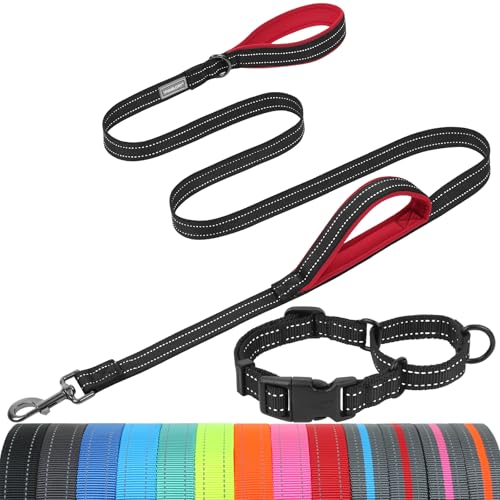 VIVAGLORY Dog Leash Twingrip Double Handle Dog Leash with Traffic Handle Control & 2 Loop for Walking & Training, Reflective Heavy Duty for Puppy Pet Collar, 5 ft. x 1 in. + S, Black - color: Black, size: 5 Ft. X 1 In. + S