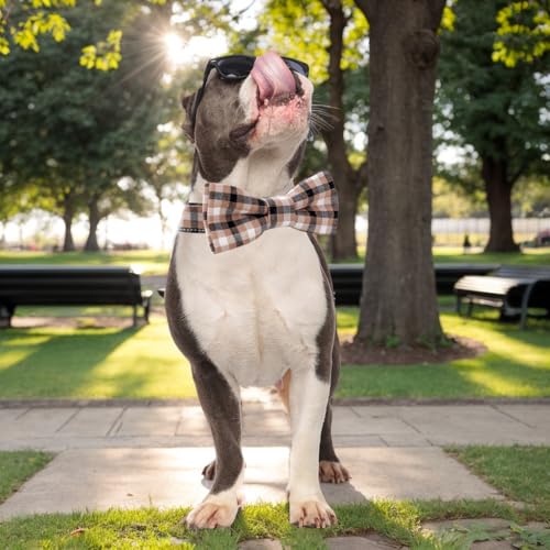 Plaid Dog Collar with Bowtie, Detachable and Adjustable Bow Tie Cat and Dog Collar with Metal Quick Release Buckle Pet Gift for Small Medium Large Dogs (Brown, Medium) - color: Brown, size: Medium