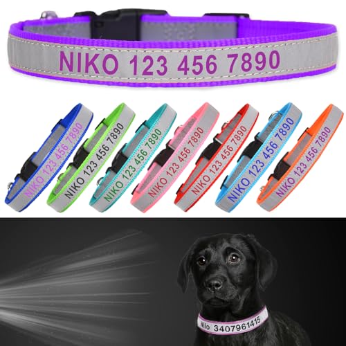 Reflective Personalized Dog Collar - Custom Embroidered Pet Name and Phone Number with Adjustable Nylon Buckle Collars in 5 Sizes XS to XL for Boy and Girl Dogs,Puppy,Purple - color: Purple