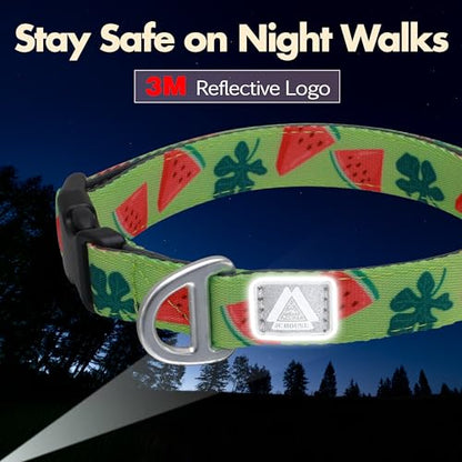 Cute Dog Collar, Summer Watermelon Print Reflective Padded Collar with Soft Neoprene, Adjustable Lightweight Pet Collar for Small Dogs, Puppies,Neck Size 9’’-14’’ (Watermelon, S) - color: Watermelon, size: S (Neck 9''– 14'')