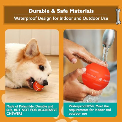 PetDroid Interactive Dog Toys Dog Ball, [Newly Upgraded] Durable Motion Activated Automatic Rolling Ball Toys for/Small/Medium/Large Dogs,USB Rechargeable(Orange) - color: Orange