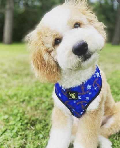 EcoBark Dog Harness - Eco-Friendly Max Comfort Harnesses - Luxurious Soft Mesh Halter - Over the Head Harness Vest- No Pull and No Choke for Puppy, Toy Breeds & Small Dogs (Medium, Nautical) - color: Blue Nautical