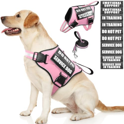 Service Dog Vest Harness and Leash Set+10 Patches,No Pull&Easy Walk Reflective Dog Harness with Soft Padded Handle for Training/Everyday,Fit Small/Medium/Large/Extra-Large Dogs (Pink L) - color: Pink, size: Large