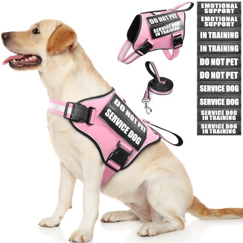 Service Dog Vest Harness and Leash Set+10 Patches,No Pull&Easy Walk Reflective Dog Harness with Soft Padded Handle for Training/Everyday,Fit Small/Medium/Large/Extra-Large Dogs (Pink L) - color: Pink, size: Large