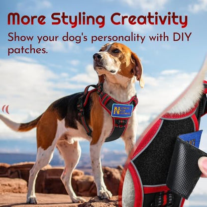 Dog Harness Small Sized, Easy Wearing with 3 Buckles, Adjustable No Pull Pet Harness with 2 Rings for Walking, No Chock Reflective Soft Padded Vest with Control Handle, Black & Red, S - color: Black & Red, size: Small
