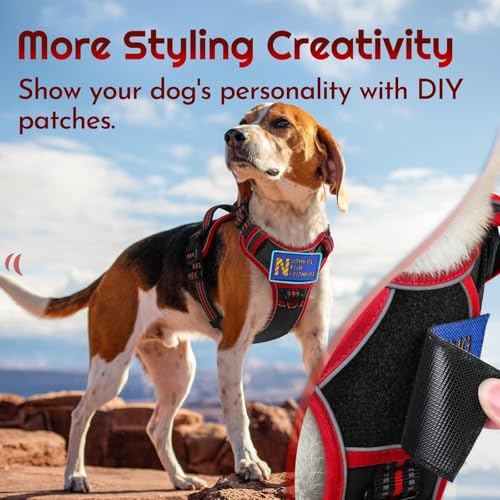 Dog Harness Medium Sized, Easy Wearing with 3 Buckles, Adjustable No Pull Pet Harness with 2 Rings for Walking, No Chock Reflective Soft Padded Vest with Control Handle, Black & Red, M - color: Black & Red, size: Medium