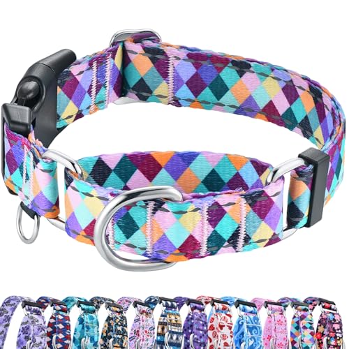 Reflective Martingale Collar for Dogs with Quick Release Buckle No Pull Training Dog Collars (Colorful Geometric, Medium) - color: Colorful Geometric, size: Medium
