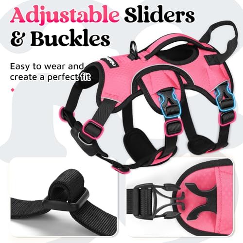 rabbitgoo Escape Proof Dog Harness, Soft Padded Full Body Pet Harness, Reflective Adjustable No Pull Vest with Lift Handle and Leash Clip for Large Dogs Walking Hiking Training, S, Pink - color: Pink, size: Small (Pack of 1)