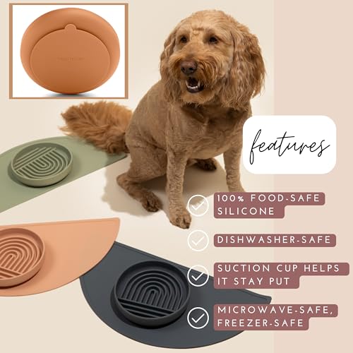 Should We Go? Slow Feeder for Dogs & Puppies, The Slowdown Bowl Silicone Slow Eating, Modern Lick Mat Design, Reduces Gulping, Fits 2 Cups, 7.5” Across x 1.5” Tall, Mealtime Challenge, Medium-Tan - color: Tan - Rainbow Design, size: Medium (7.5” Across x