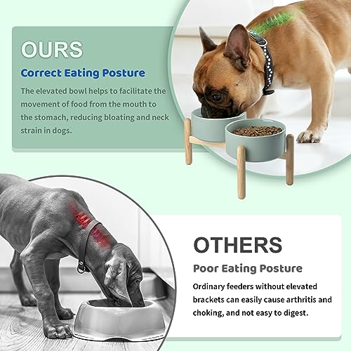 SPUNKYJUNKY Ceramics Raised Dog Bowls with Wooden Stand - Elevated Bowls for Small Medium Dogs (Double 28.7OZ, Light Green) - color: Light Green (Double Bowls Set), size: Medium - 3.6 CUPS