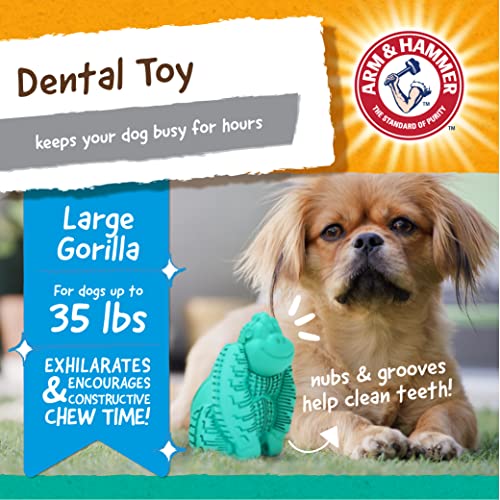 Arm & Hammer for Pets Super Treadz Gorilla Dental Chew Toy for Dogs - Dog Dental Toys Reduce Plaque & Tartar Buildup Without Brushing - Safe for Dogs up to 35 Lbs (Pack of 12) - size: Large (Pack of 12), style: Gorilla