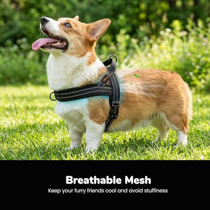 Didog No Pull Dog Harness with Soft Mesh Padded,Reflective & Quick Fit Light Weight Dog Strap Vest Harness,Easy for Walking Training (M:Chest 21-26", Mesh-Black) - color: Black, size: M: Chest 21-26", Fit 28-50 lbs