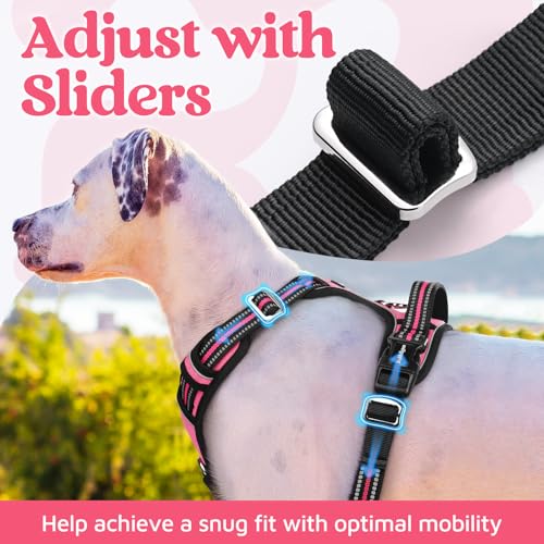 rabbitgoo Dog Harness Small Sized, No Pull Dog Vest with 3 Buckles, Adjustable Soft Padded Pet Harness with Easy Control Handle and Reflective Strips, Pink, S - color: Pink, size: Small