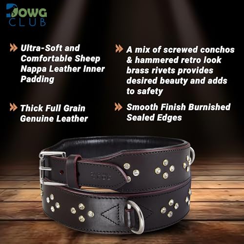 Genuine Leather ‘Cupola’ Series Dog Collar | Rhinestone | Soft, Cushion Padding, Handmade | Leather Dog Collar for XL Breeds (XL (Neck Size 22.5"-25.5"), Silver Rhinestones, Crimpson) - color: Silver Rhinestones, Crimpson, size: XL (Neck Size 22.5"-25.5")