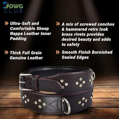 Genuine Leather ‘Cupola’ Series Dog Collar | Rhinestone | Soft, Cushion Padding, Handmade | Leather Dog Collar for XL Breeds (XL (Neck Size 22.5"-25.5"), Silver Rhinestones, Crimpson) - color: Silver Rhinestones, Crimpson, size: XL (Neck Size 22.5"-25.5")